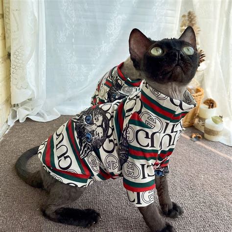 cat with gucci|cat wearing gucci.